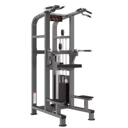 RealLeader Chin Dip Assist - M2-1020