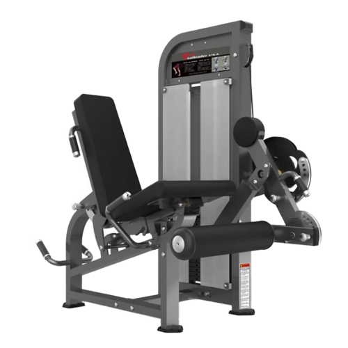 RealLeader Leg Extension Leg Curl Combo PF-1007