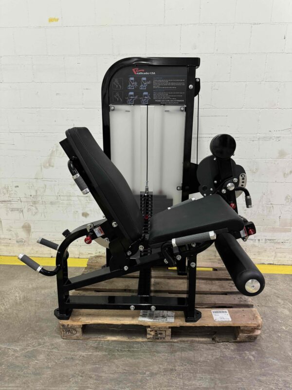 F-42175-02-1773957789.jpg RealLeader Leg Extension Leg Curl Combo PF-1007