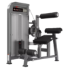 RealLeader Back Extension/Ab Crunch - PF-1005