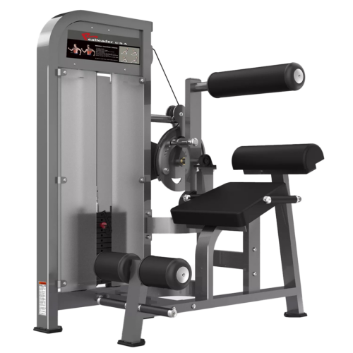 RealLeader Back Extension/Ab Crunch - PF-1005