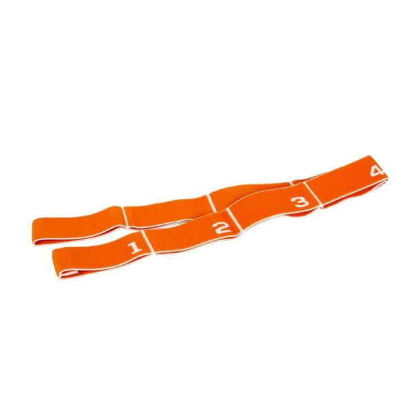 F-87752-01-1773957598-2.jpg Multi Elastiband