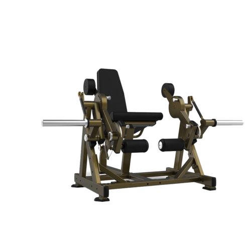 F-88369-01-1773957835.png RealLeader Leg Extension - LD-2001