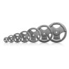 F-92334-01-1773957584-2.jpg Guss Hantelscheibe 30 mm