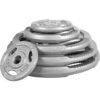 F-92334-02-1773957584-2.jpg Guss Hantelscheibe 30 mm