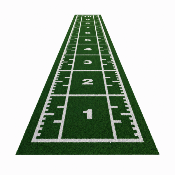 f-019f79972ff97367a7578fdb0e868791-f-23142-sprint-track-turf-10-m-1-chatgpt-image-28-apr-2026-11_39_38 Sprint Track Turf 10 m