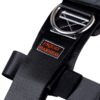 Beyond Power Squat Harness