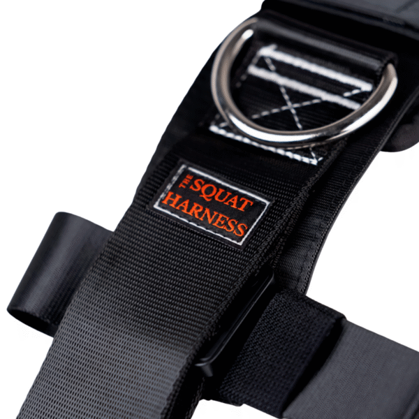 Beyond Power Squat Harness